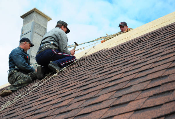 Best Roof Maintenance Services  in Castle Hills, TX